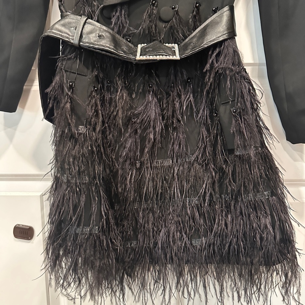 ZCRAVE Fifth Ave Feathers Dress - Picture 10 of 17